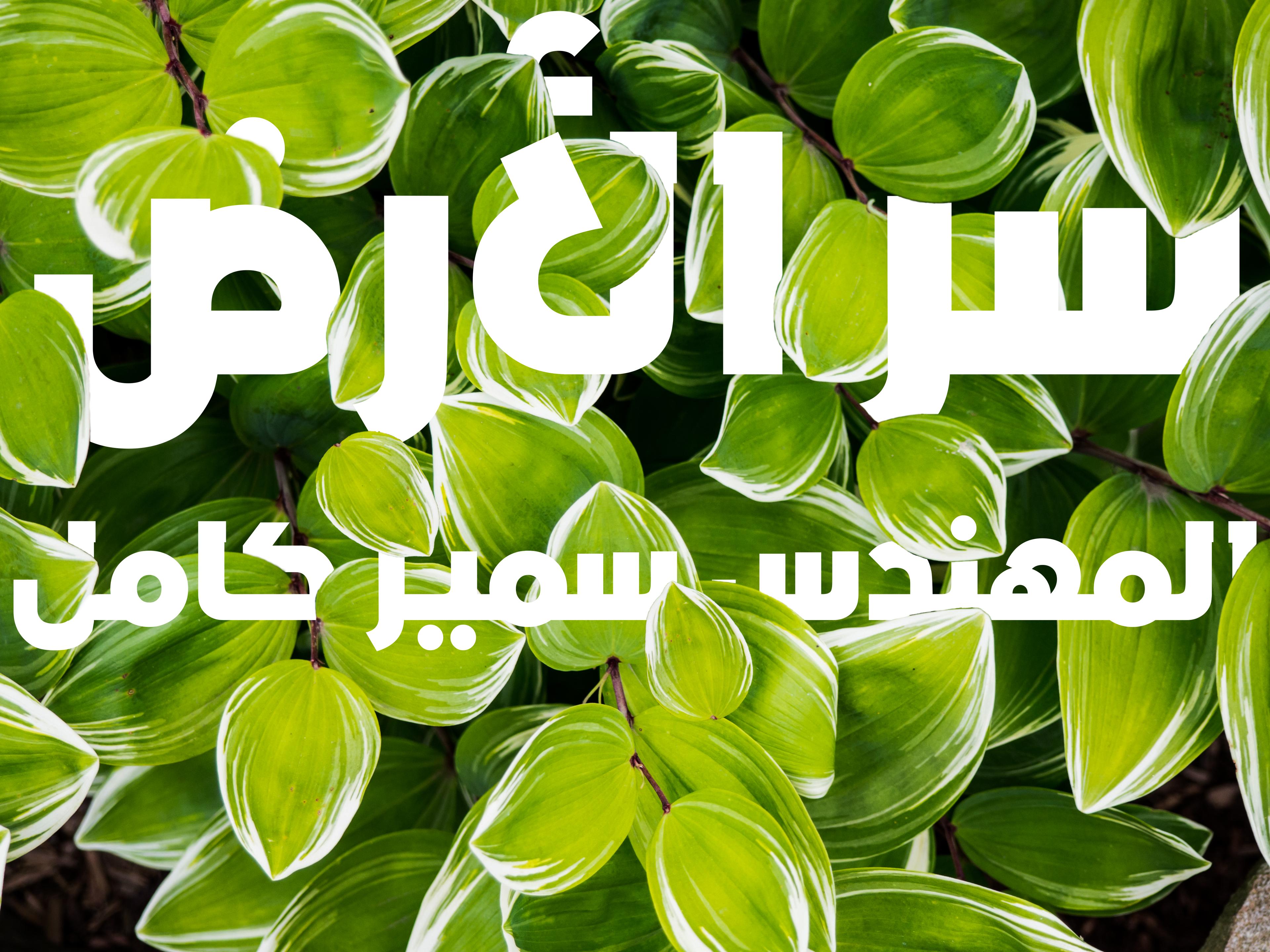 Agriculture background